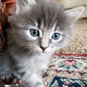 Meet your Posher, Sandra